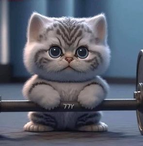 Meet your Posher, Mishel